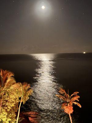 Bliss Travel Service