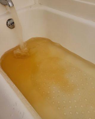 The Centre Apartment Homes