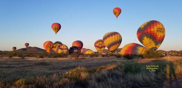 Tony Debartoli Photography & Limousine