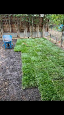 Western Property Maintenance