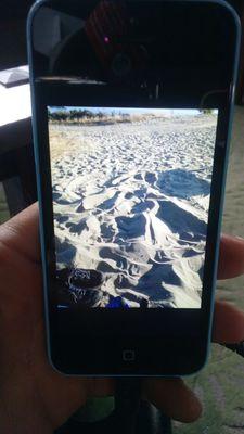 The White Lotus Creative Healing Center