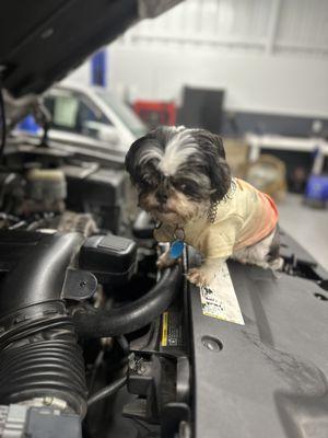 Jesses Mobile Mechanic