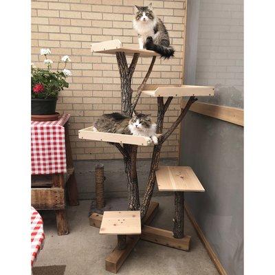 Cat tree.