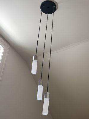 Handyman Marin Services