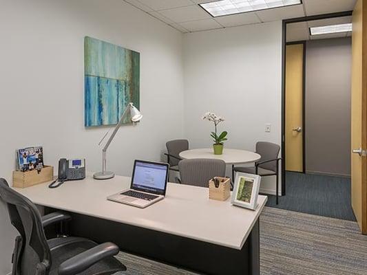 Regus-Texas Houston-Chasewood