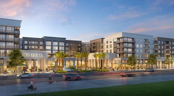 Wisteria at Warner Center