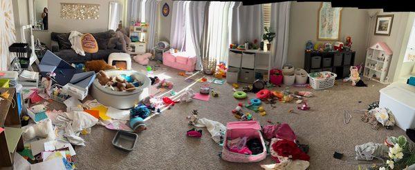 Perfectionist of Cleaning