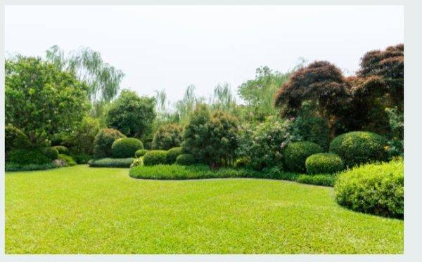 Ashly Lawn Care & Landscaping Services