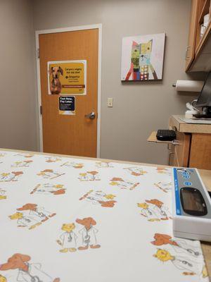 American Animal Hospital