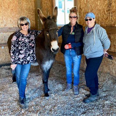 Oregon Donkey Sanctuary Northwest