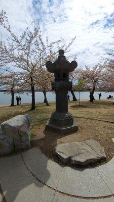 Japanese Lantern