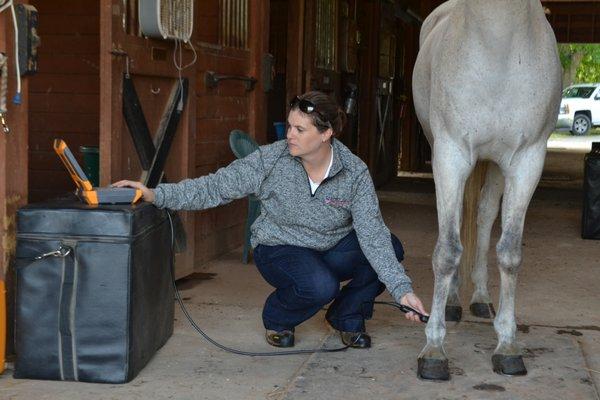 East West Veterinary Care