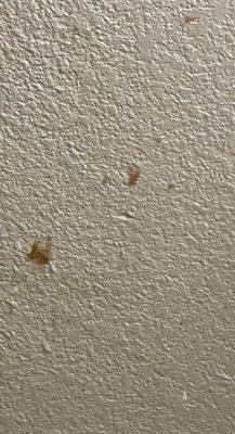 Super 8 by Wyndham Batesville