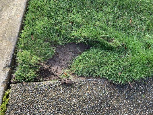 Finishing Touches Landscaping & Maintenance