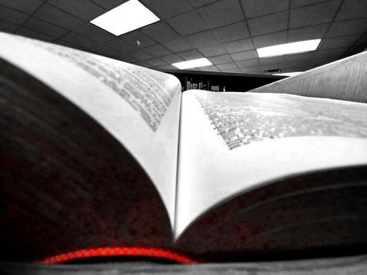Giant dictionary at MANCHESTER PUBLIC LIBRARY in Manchester, Georgia.