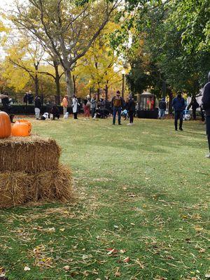 Grand Circus Park Dog Park