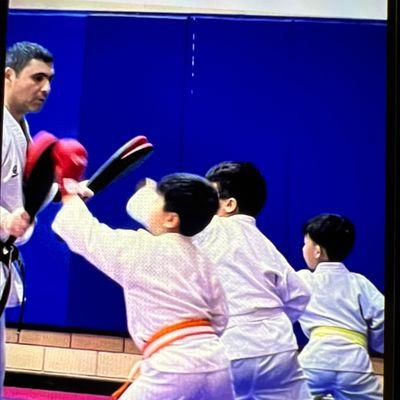 Shotokan Karate Studio LLC