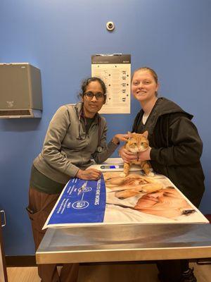 Green Level Animal Hospital