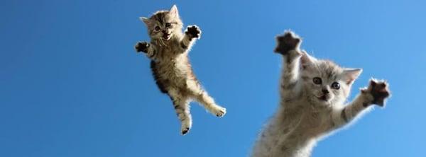 Local Reach Marketing