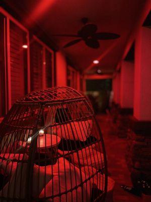 Pablo's Palmas Tree & Landscaping Services