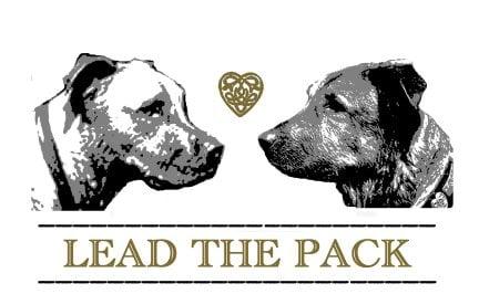 Lead the Pack Dog Training