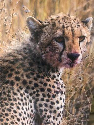 Dr. Larry's trip to Africa