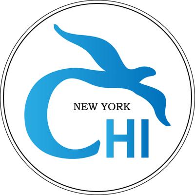 Carnegie Hill Institute