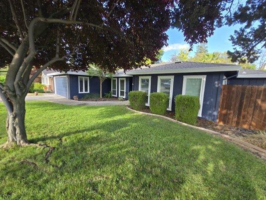 Royal Quality Painting