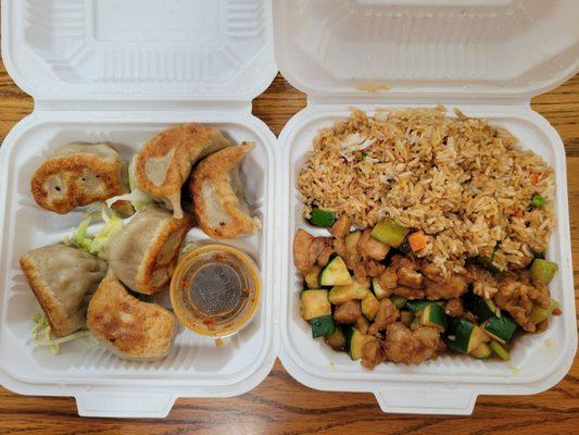 Pot Stickers and cashew chicken lunch special