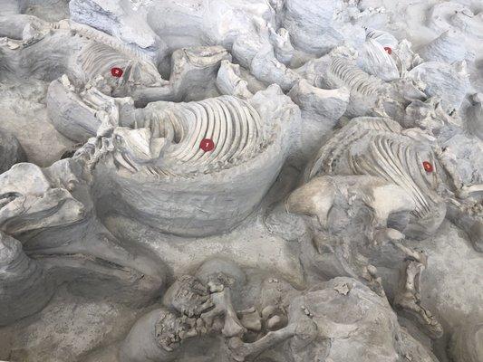 Ashfall State Historical Park