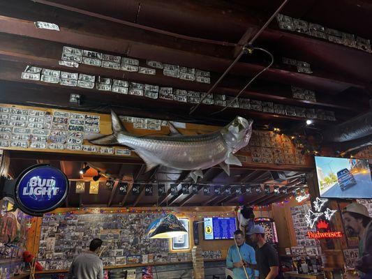 Friendly Tarpon Tavern