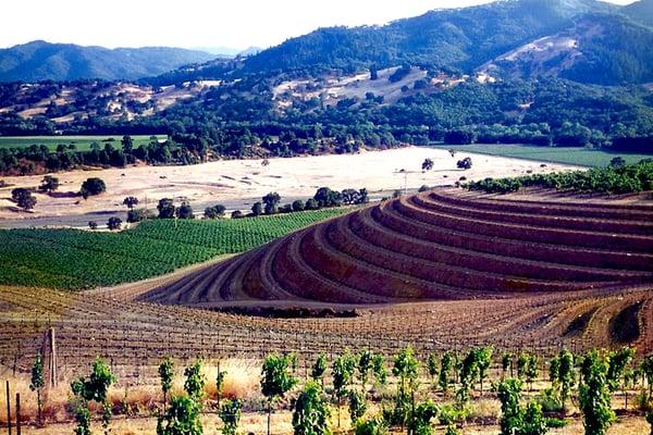 MBC Construction Company