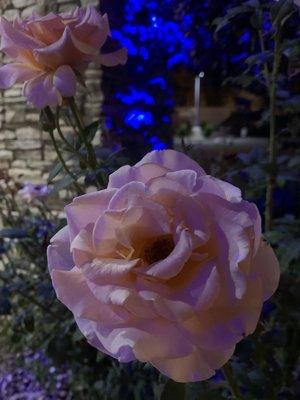 Holiday Inn Express & Suites Brentwood