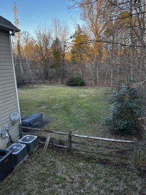 Cleaned Landscaping Service