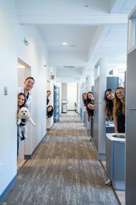 Burien Signature Dentistry