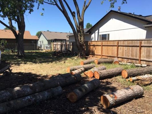 J & J Tree & Stump Removal