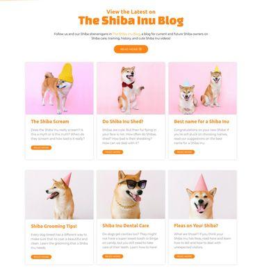 CHKMe Organic SEO Agency