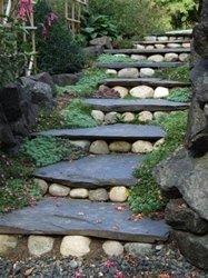 Walking with you - up or down the stairs - to your success & balanced life.