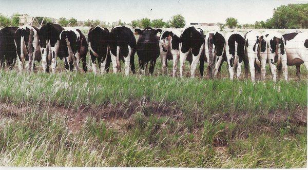 Are You Headed In The Right Direction?