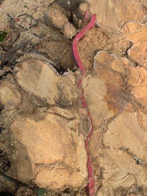 TBB Tree Service LLC