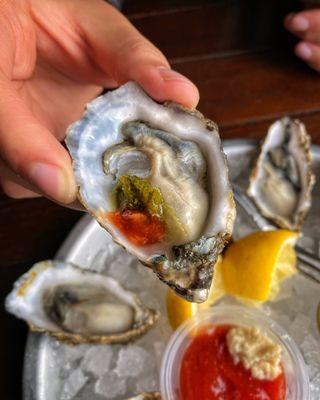Freshly Shucked Oysters.
