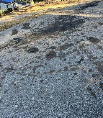 Quality Tree Surgeons