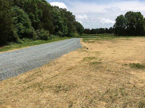 DPJ Clearing & Grading