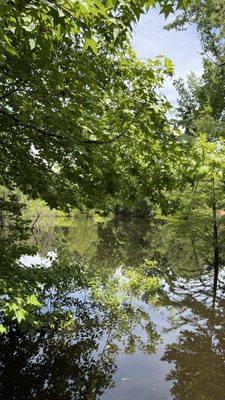 AGFC Forrest L Wood Crowley's Ridge Nature Center