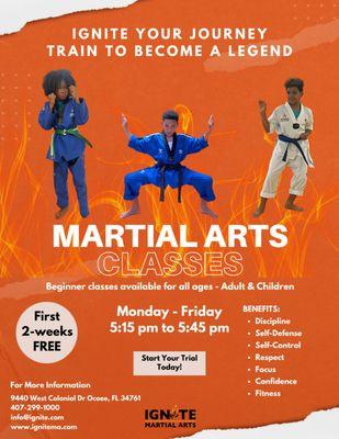 IGNITE Martial Arts