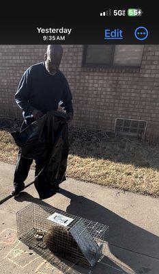 America's Choice Elimination