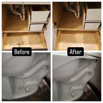 Revive & Sanitize Cleaning Services