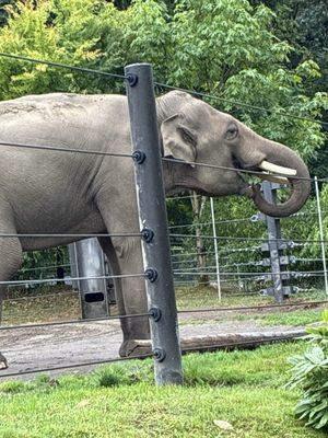 Elevate Academy North