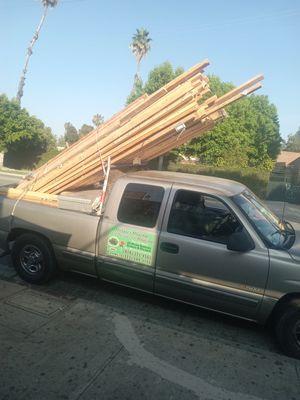 Morales Tree Service