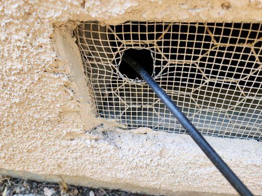 Cat’s Rodent Control